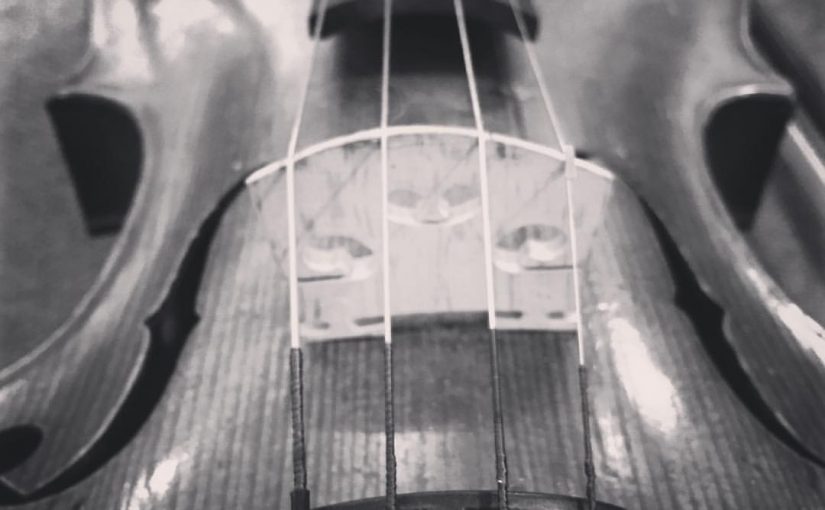 violin bridge